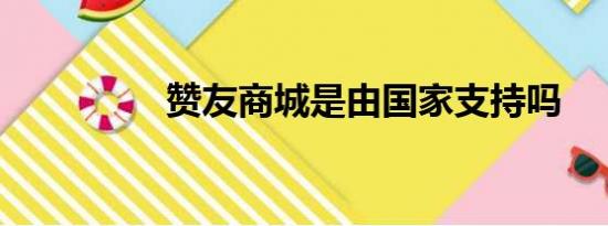 赞友商城是由国家支持吗