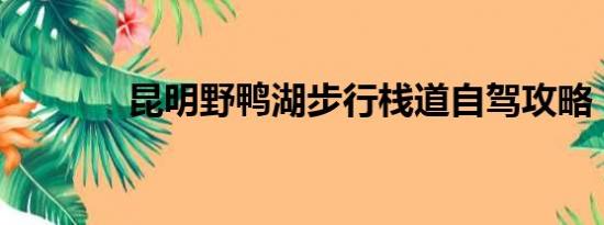 昆明野鸭湖步行栈道自驾攻略