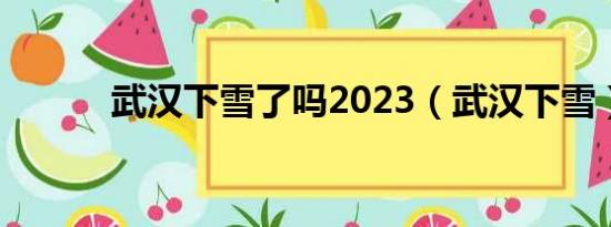 武汉下雪了吗2023（武汉下雪）