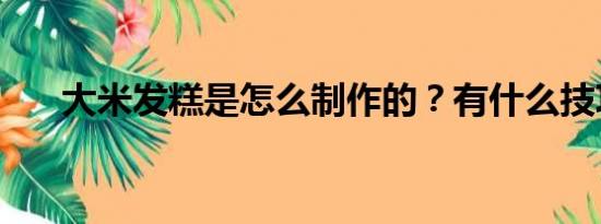 大米发糕是怎么制作的？有什么技巧？