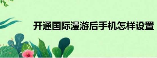 开通国际漫游后手机怎样设置