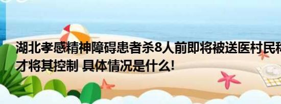 湖北孝感精神障碍患者杀8人前即将被送医村民称多人合力才将其控制 具体情况是什么!