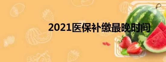 2021医保补缴最晚时间