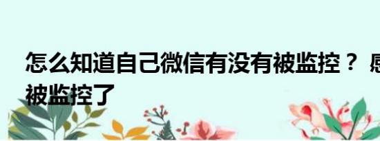 怎么知道自己微信有没有被监控？ 感觉微信被监控了