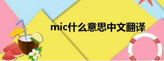 mic什么意思中文翻译