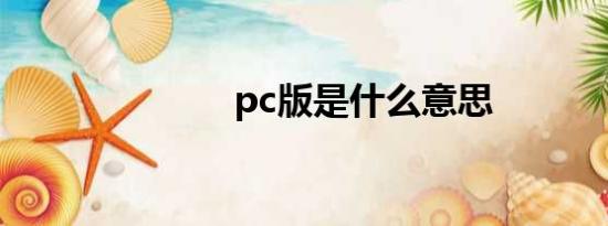 pc版是什么意思