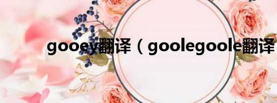 gooey翻译（goolegoole翻译）