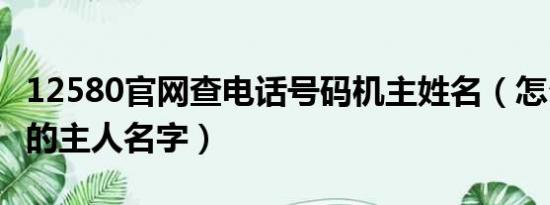 12580官网查电话号码机主姓名（怎么查号码的主人名字）