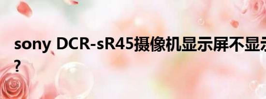 sony DCR-sR45摄像机显示屏不显示怎么办?