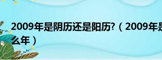 2009年是阴历还是阳历?（2009年是农历什么年）