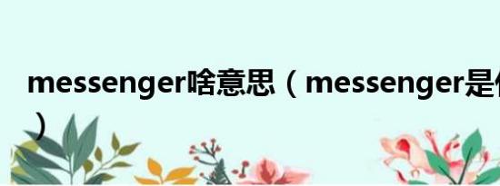 messenger啥意思（messenger是什么意思）