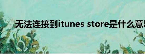 无法连接到itunes store是什么意思？