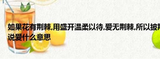 如果花有荆棘,用盛开温柔以待,爱无荆棘,所以披荆斩棘也要说爱什么意思