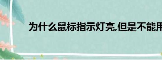 为什么鼠标指示灯亮,但是不能用