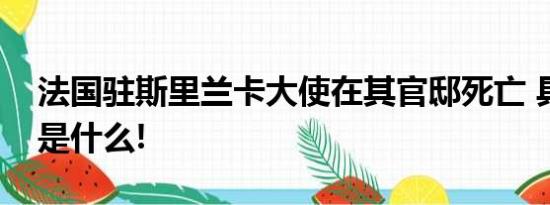 法国驻斯里兰卡大使在其官邸死亡 具体情况是什么!