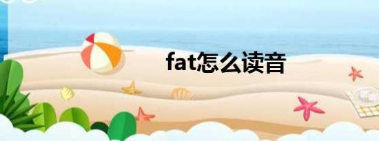 fat怎么读音