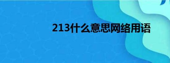 213什么意思网络用语