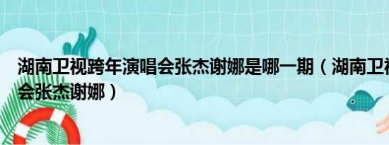 湖南卫视跨年演唱会张杰谢娜是哪一期（湖南卫视跨年演唱会张杰谢娜）