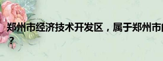 郑州市经济技术开发区，属于郑州市的哪个区？