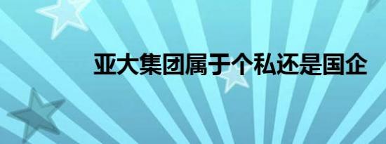 亚大集团属于个私还是国企