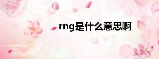 rng是什么意思啊