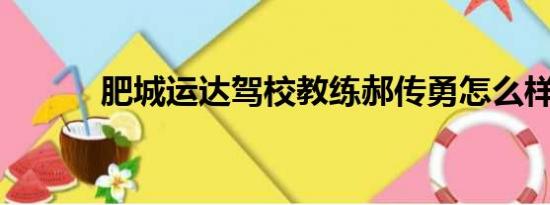 肥城运达驾校教练郝传勇怎么样