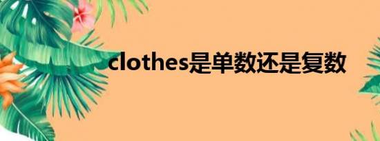 clothes是单数还是复数