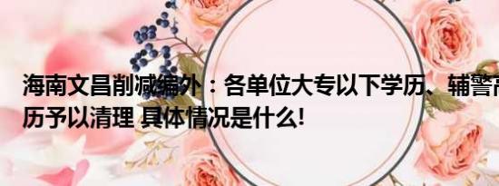 海南文昌削减编外：各单位大专以下学历、辅警高中以下学历予以清理 具体情况是什么!