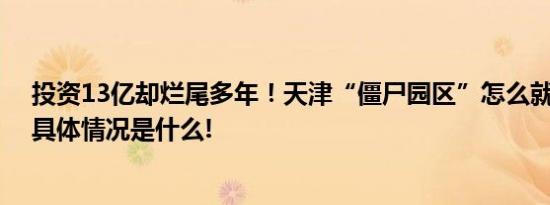 投资13亿却烂尾多年！天津“僵尸园区”怎么就没人管？ 具体情况是什么!