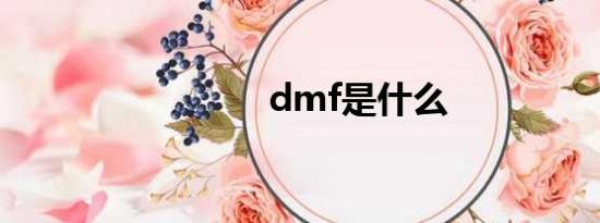 dmf是什么