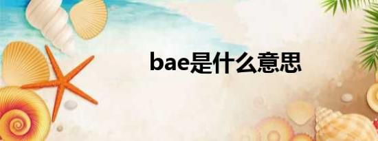 bae是什么意思