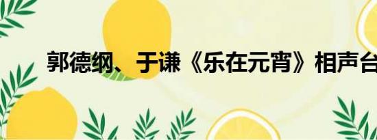 郭德纲、于谦《乐在元宵》相声台词