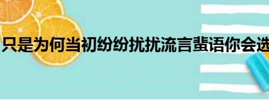 只是为何当初纷纷扰扰流言蜚语你会选择了我