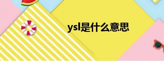 ysl是什么意思