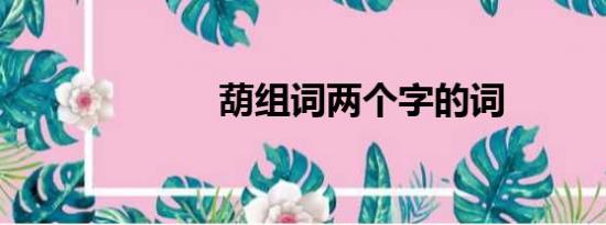 葫组词两个字的词