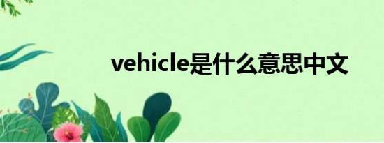 vehicle是什么意思中文