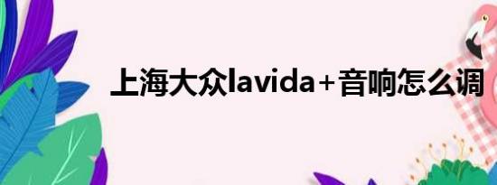 上海大众lavida+音响怎么调