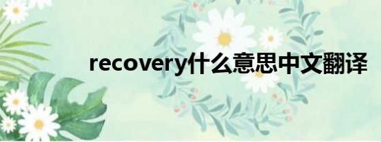 recovery什么意思中文翻译