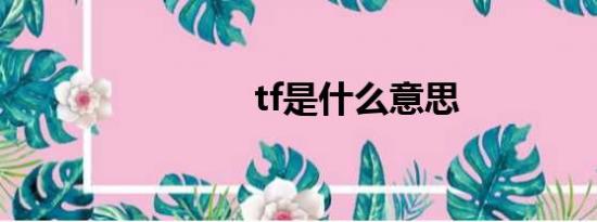 tf是什么意思