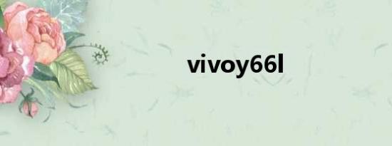 vivoy66l