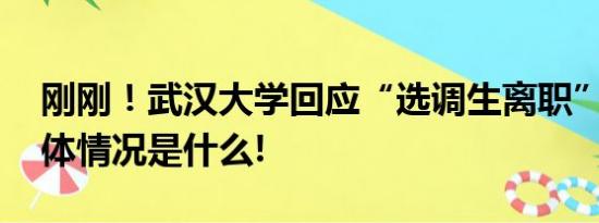 刚刚！武汉大学回应“选调生离职”事件 具体情况是什么!