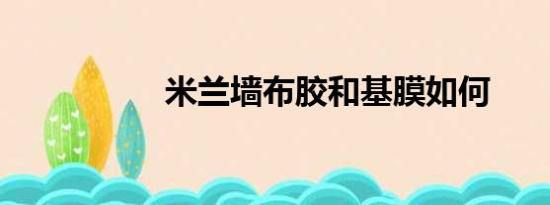 米兰墙布胶和基膜如何