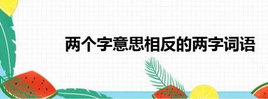 两个字意思相反的两字词语