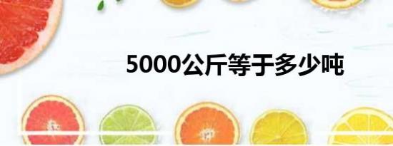 5000公斤等于多少吨