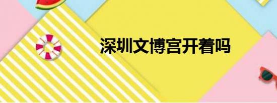 深圳文博宫开着吗