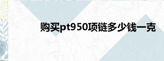 购买pt950项链多少钱一克