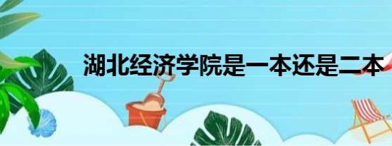 湖北经济学院是一本还是二本