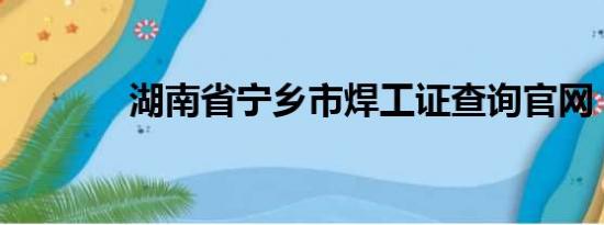 湖南省宁乡市焊工证查询官网