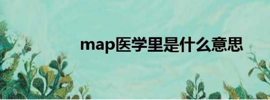 map医学里是什么意思