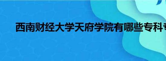 西南财经大学天府学院有哪些专科专业